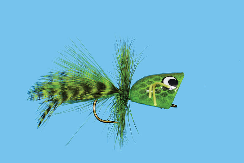 PP320.jpg