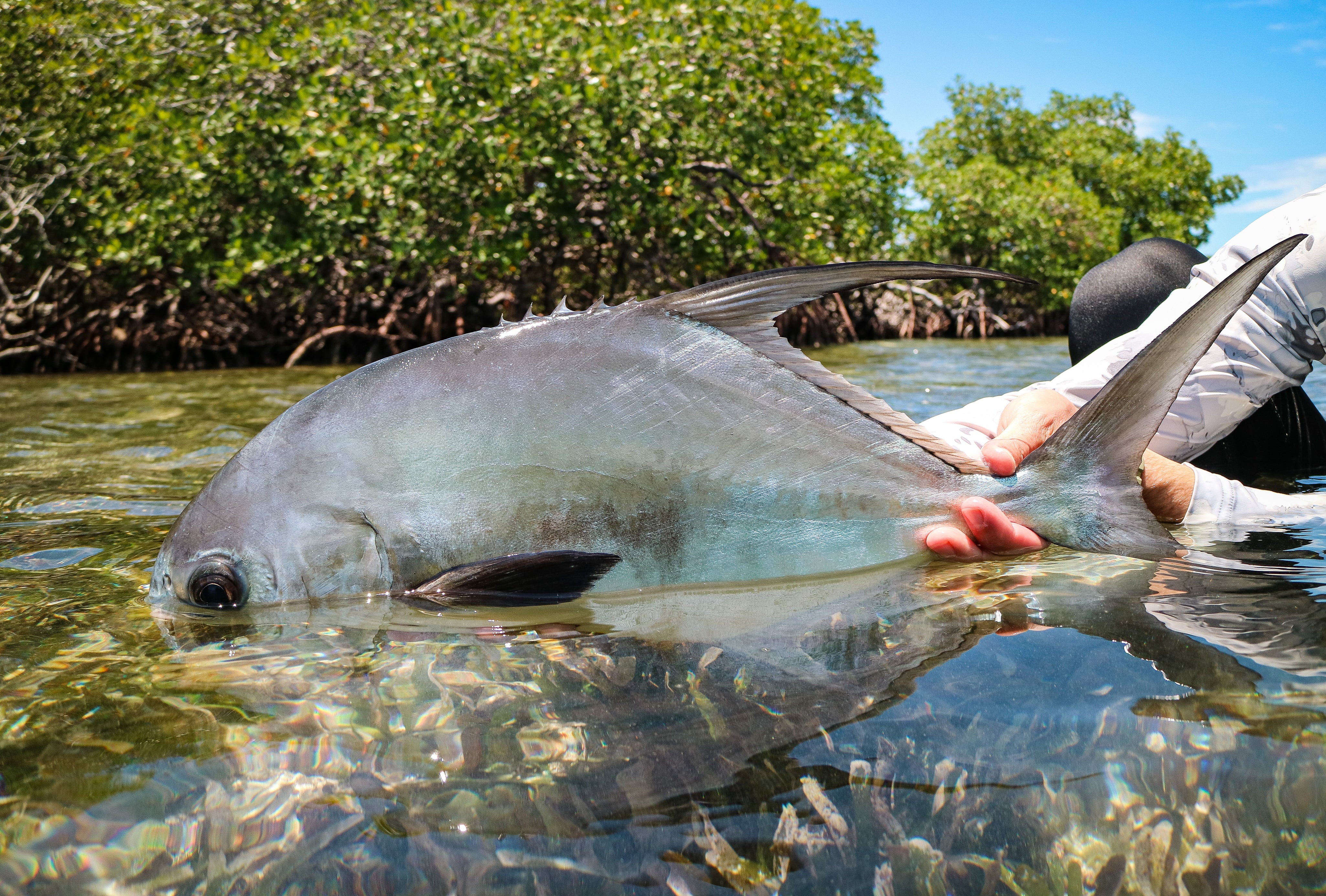 Tarpon Caye Lodge, Belize