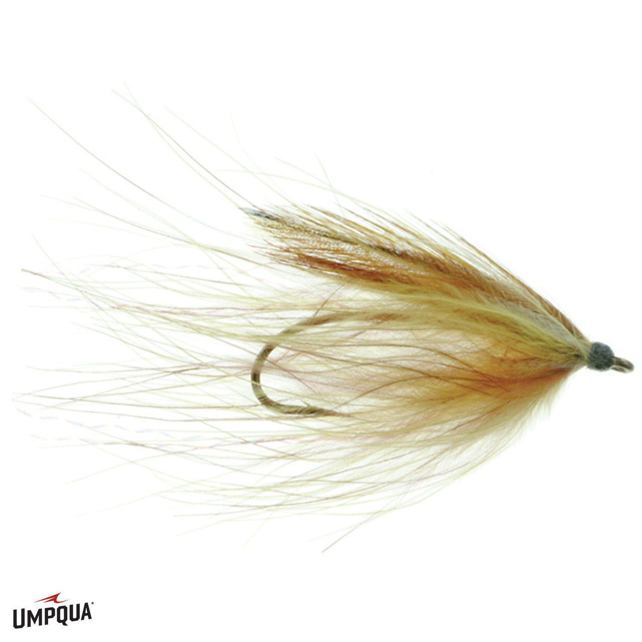 Platte_River_Spider_Schrantz__99167.jpg