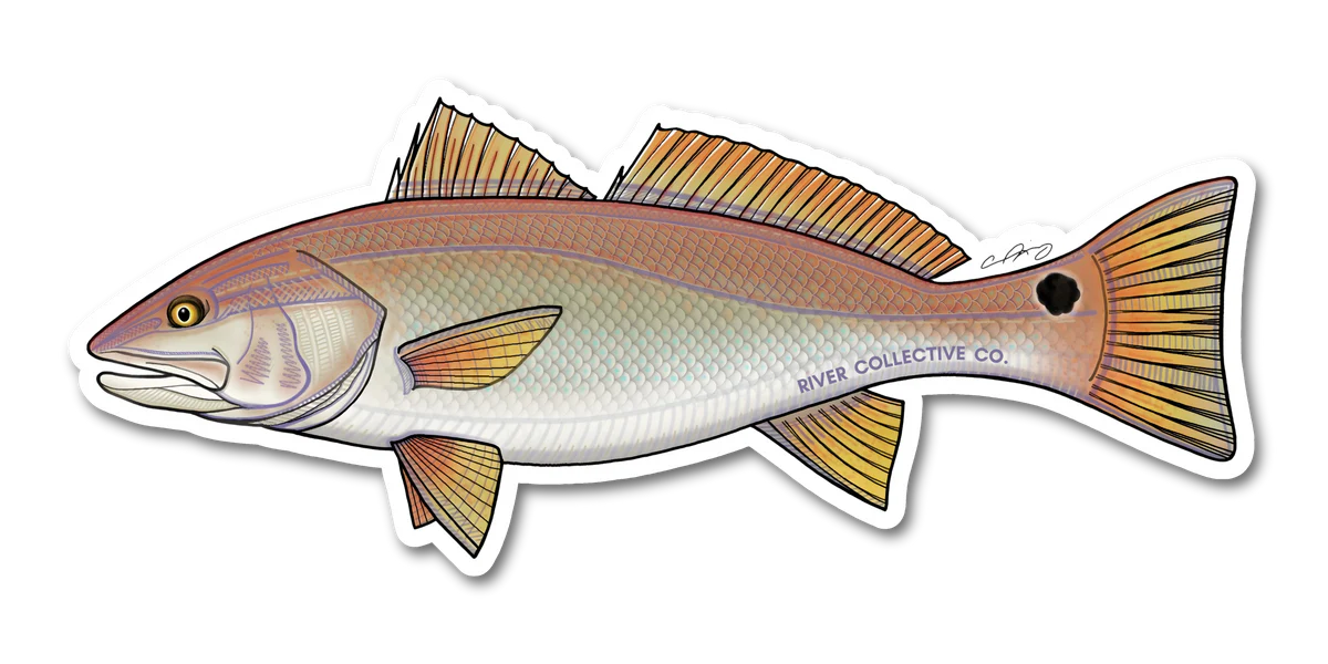 REDFISH_BRANDED_PROOF_1.webp