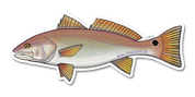 River Collective Co. Redfish Decal