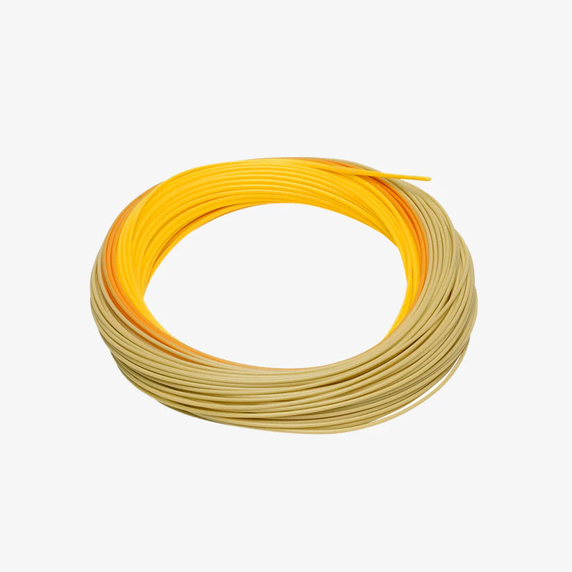 RIO_Coils_Dog_Days_Gold_ac1d1516-872b-479a-b05b-65071f5cbb42.webp