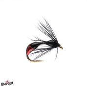 Red-Ass Ant Deal - Umpqua Fly