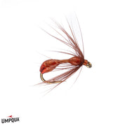 Red-Ass Ant Deal - Umpqua Fly