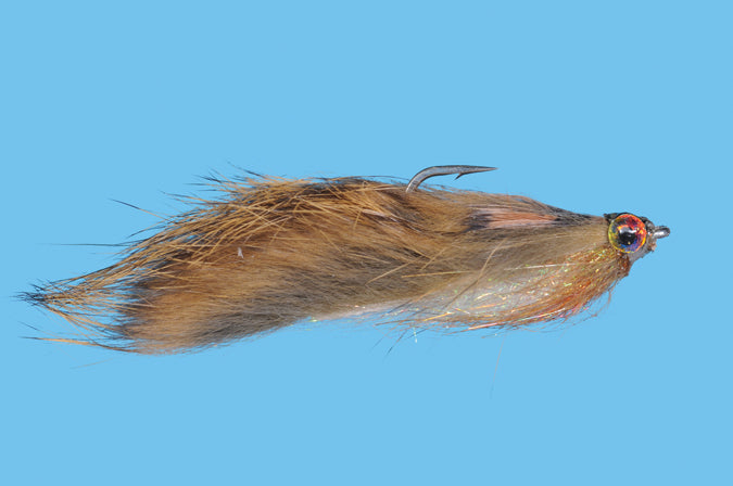 S022.jpg