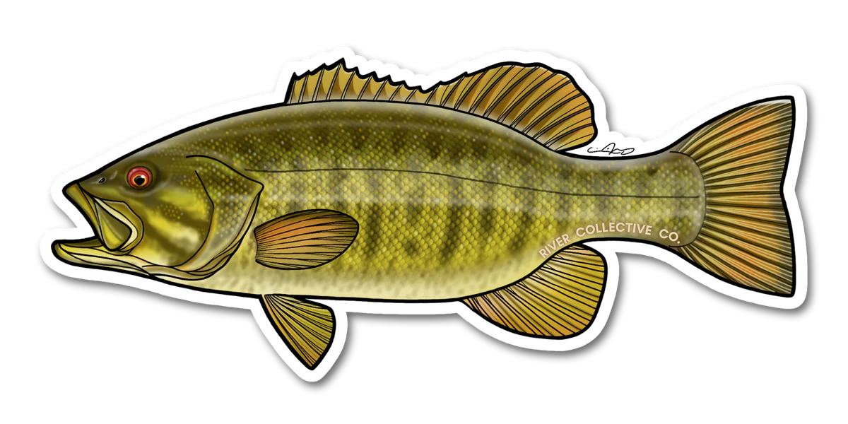 SMALLMOUTH_BASS_-_BRANDED_PROOF.webp