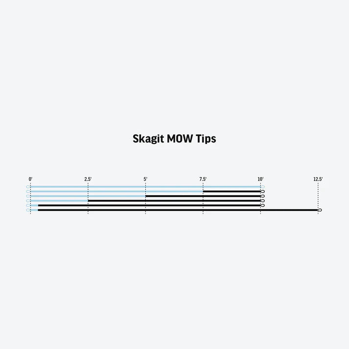 Rio Skagit MOW Tips