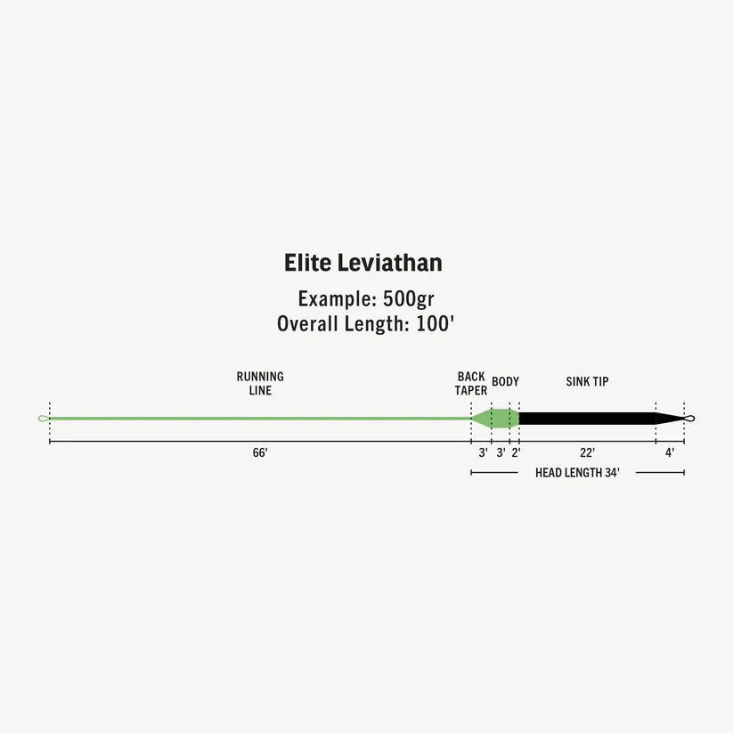 SW_Elite_Leviathan_fly_line_taper.webp