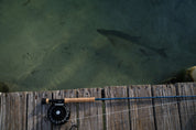 Sage Signal Fly Rod