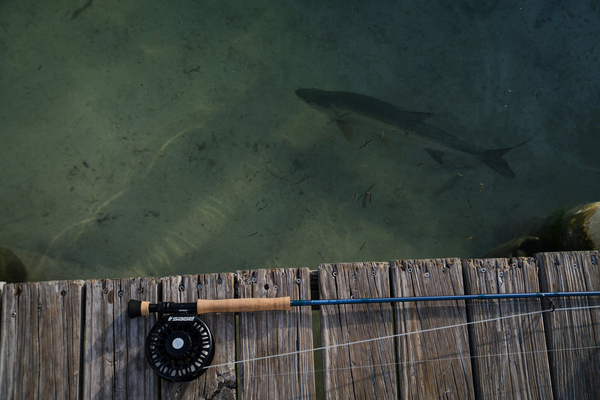 Sage Signal Fly Rod