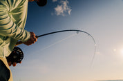 Sage Signal Fly Rod