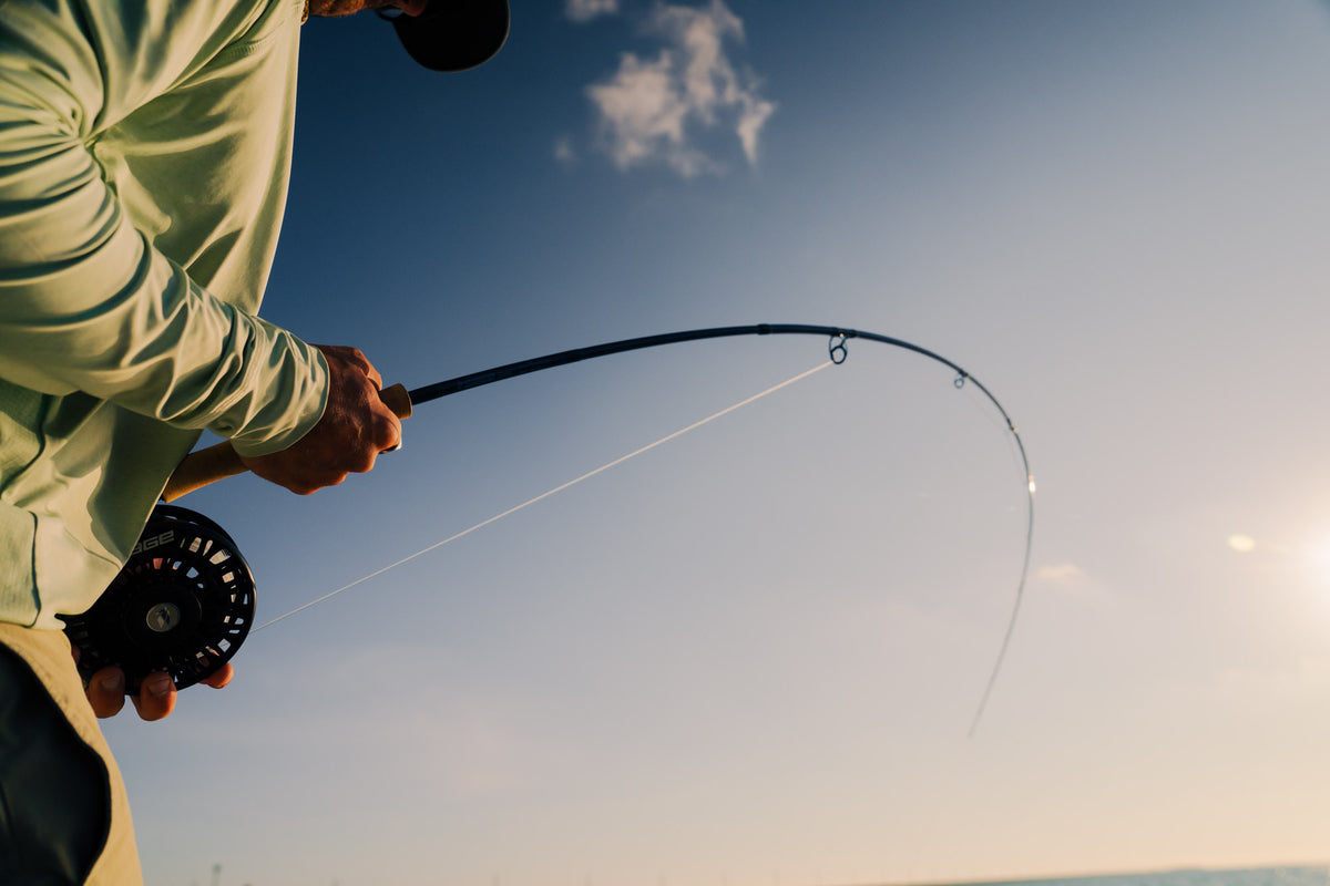 Sage Signal Fly Rod