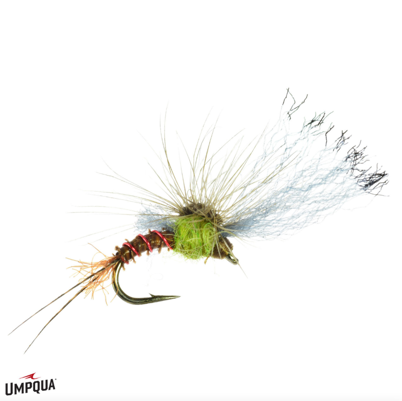 Quigley's Film Critic - BWO - Umpqua Fly
