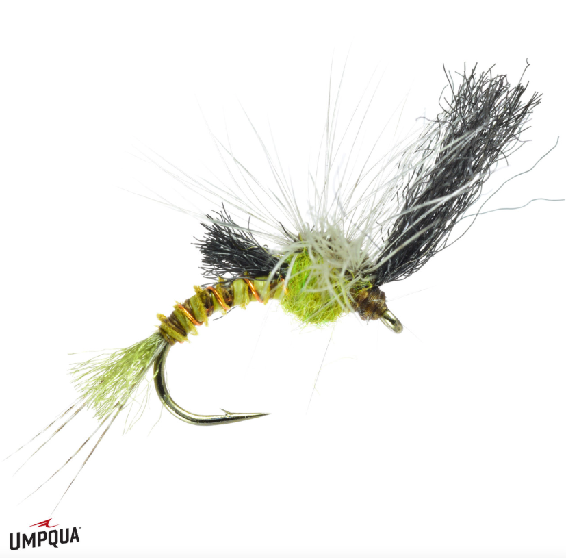 Screen_Shot_2025-08-20_at_2.30.54_PM.png