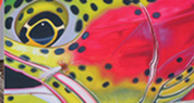 DeYoung Trout Greeting Card