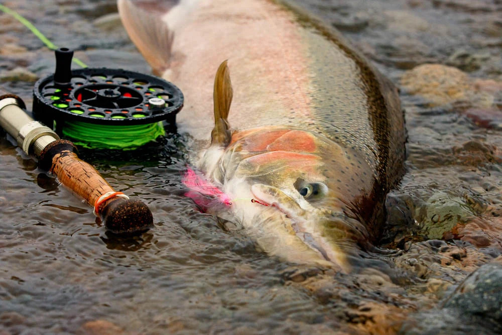 Skeena River Lodge