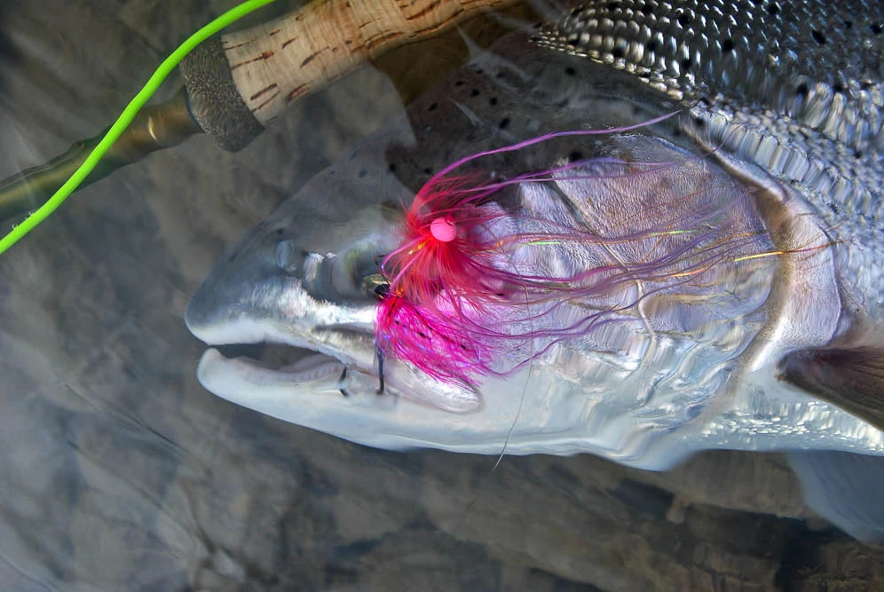 Skeena Spey Riverside Wilderness & Lodge