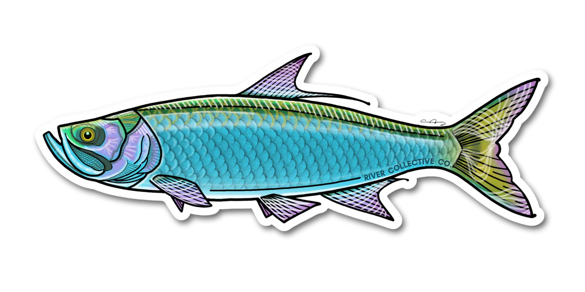 River Collective Co. Tarpon Decal