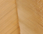 Hareline Turkey Biot Quills