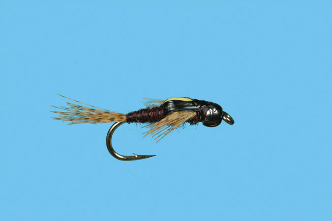 TN275.jpg