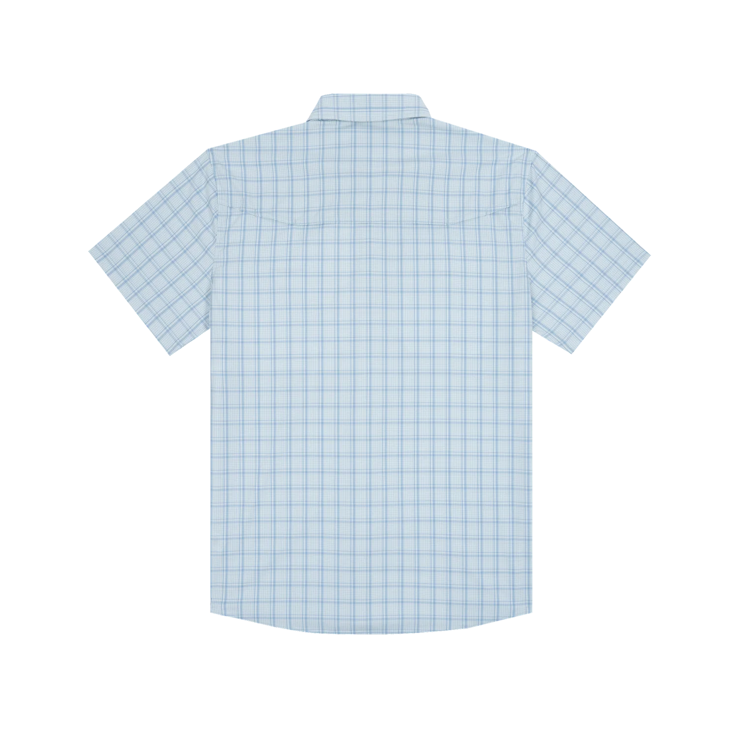 TheCharlotteHarbor-Back.webp