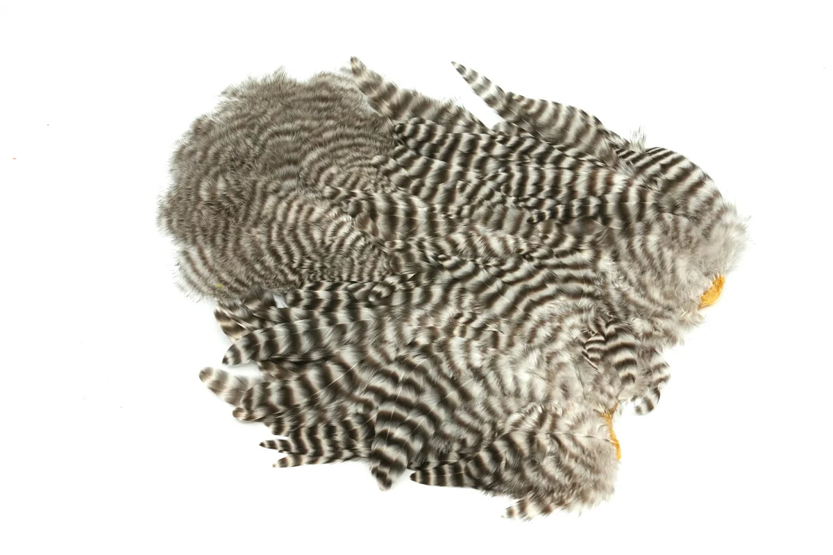 Whiting Farms Rooster Soft Hackle and Chickabou