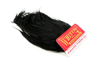 Whiting Farms Wooly Bugger Pack