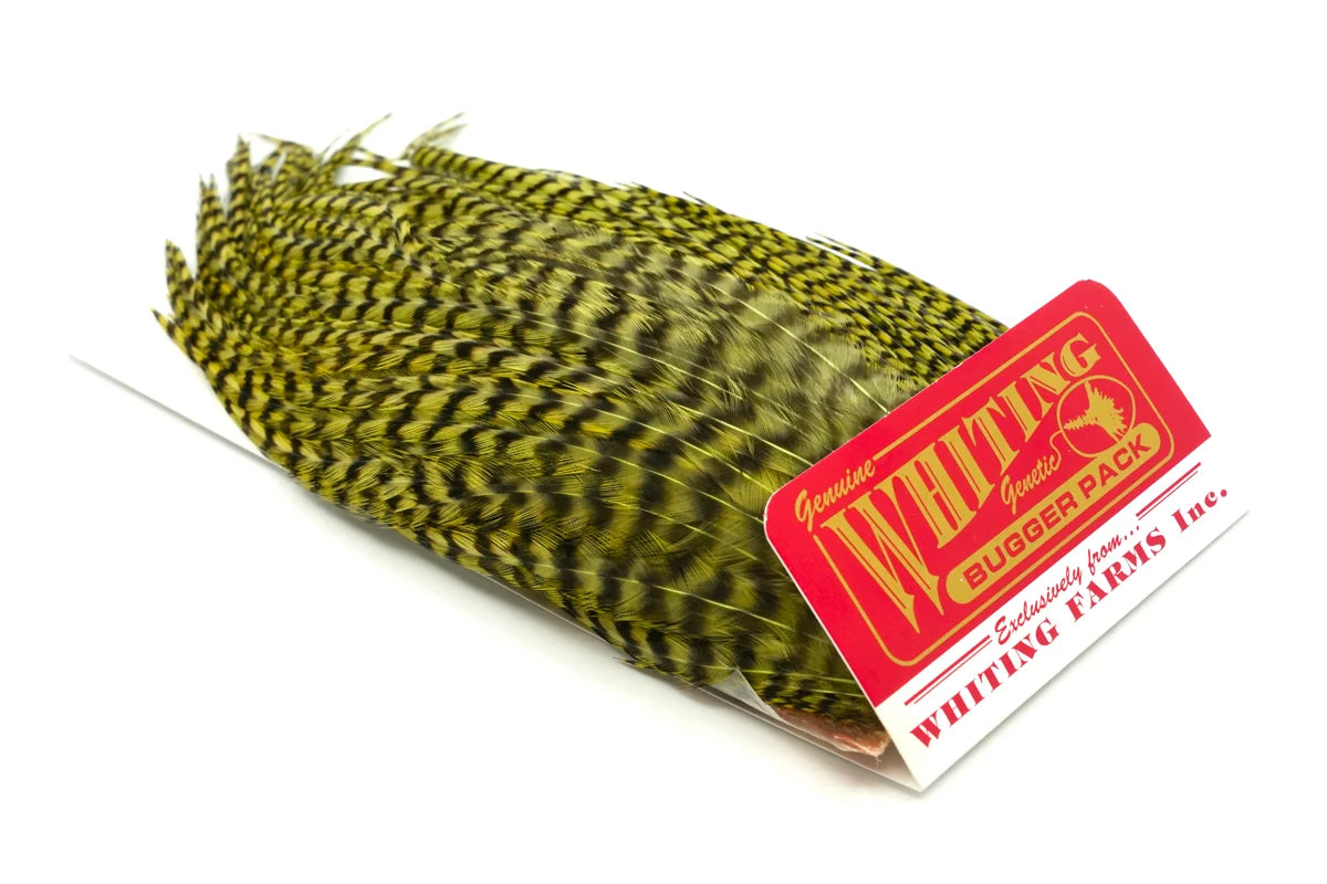 Whiting Farms Wooly Bugger Pack