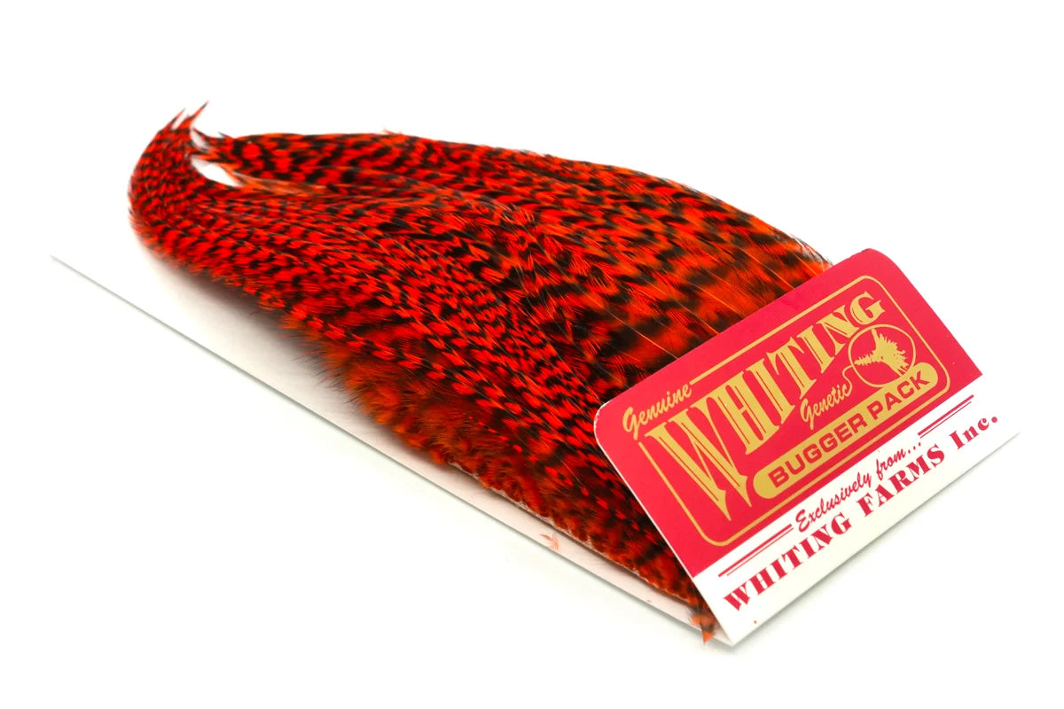 Whiting Farms Wooly Bugger Pack