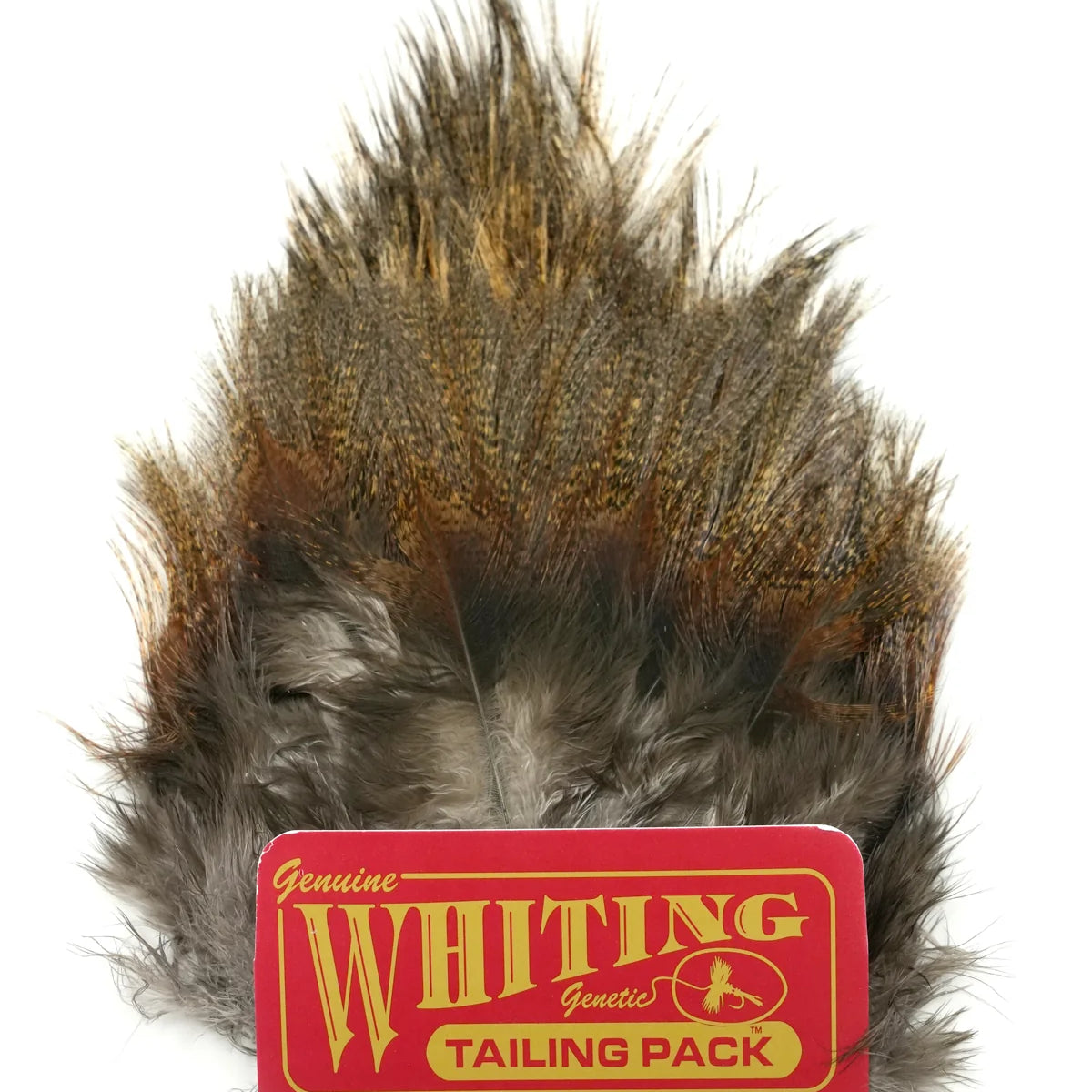 Whiting_Coc_de_Leon_Tailing_Pack_-_Dark_Pardo_-_Front_1.webp