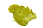Whiting Farms Rooster Soft Hackle and Chickabou