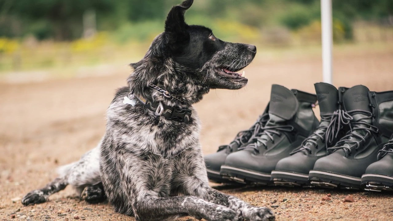 Product Review: Patagonia &amp; Danner Boot with Dave Allen of Patagonia Fly Fishing