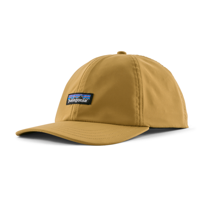 large-33317_BCBN_P.png