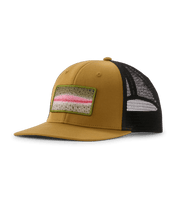 Patagonia Take a Stand Trucker Hat - Rainbow Run