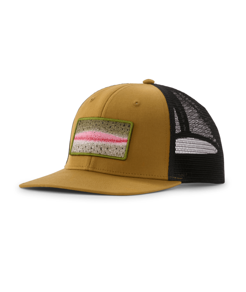 Patagonia Take a Stand Trucker Hat - Rainbow Run