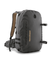 Patagonia Guidewater Backpack