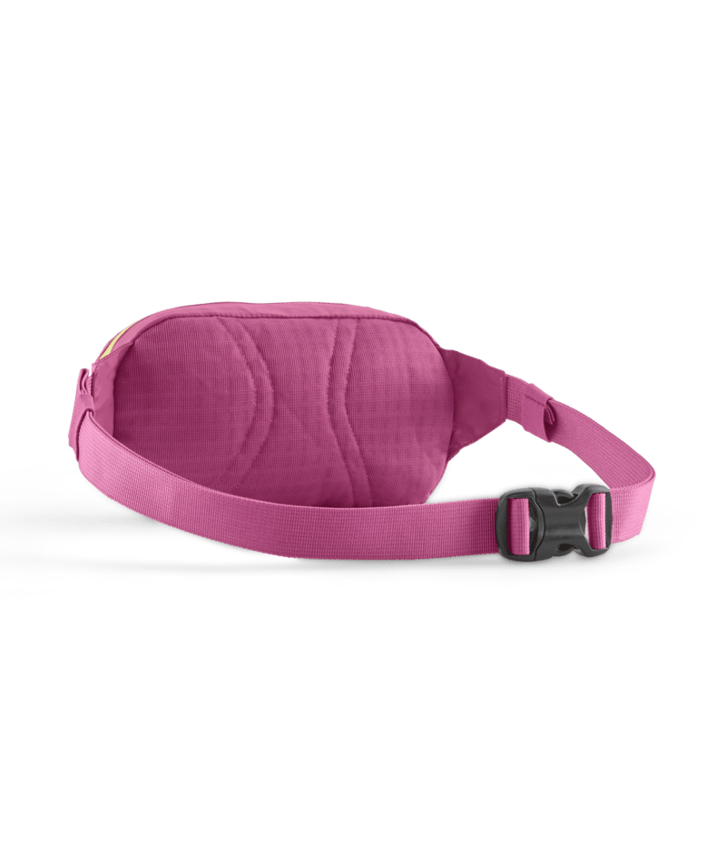 Patagonia Terravia Mini Hip Pack