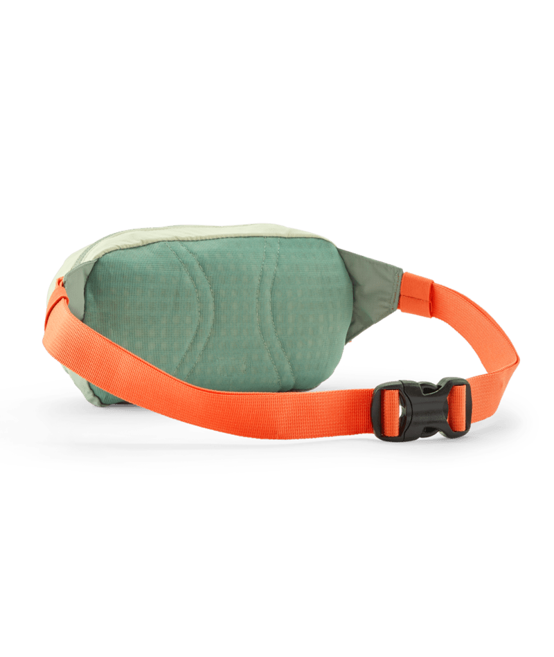 Patagonia Terravia Mini Hip Pack