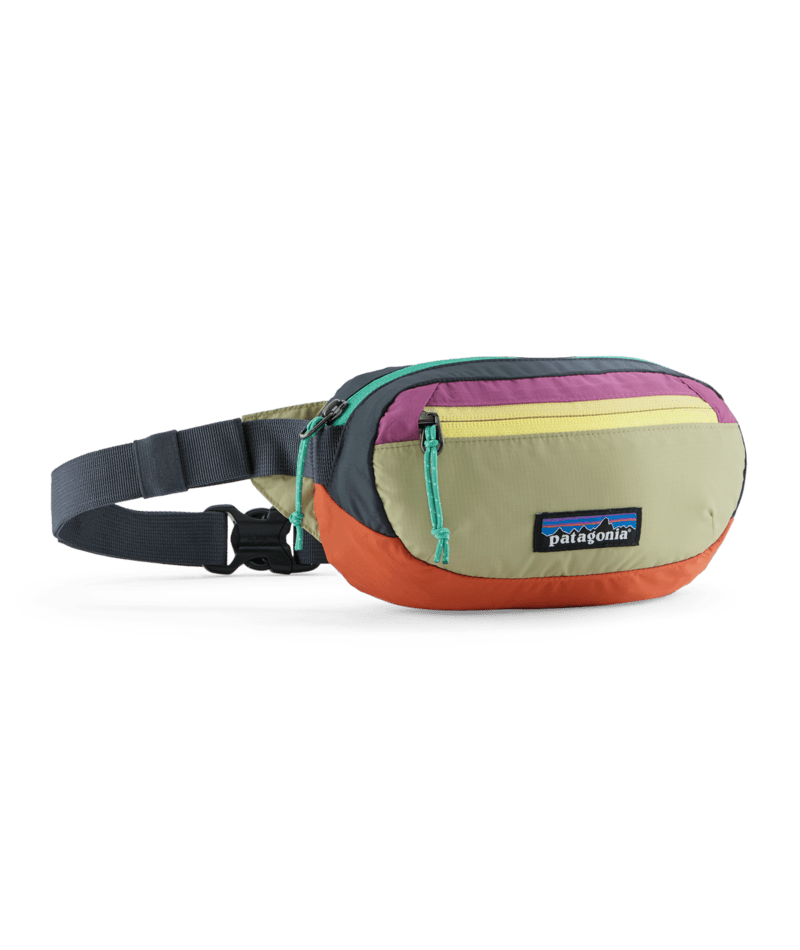 Patagonia Terravia Mini Hip Pack