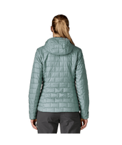 Patagonia Women's Nano Puff Fitz Roy Trout Hoody