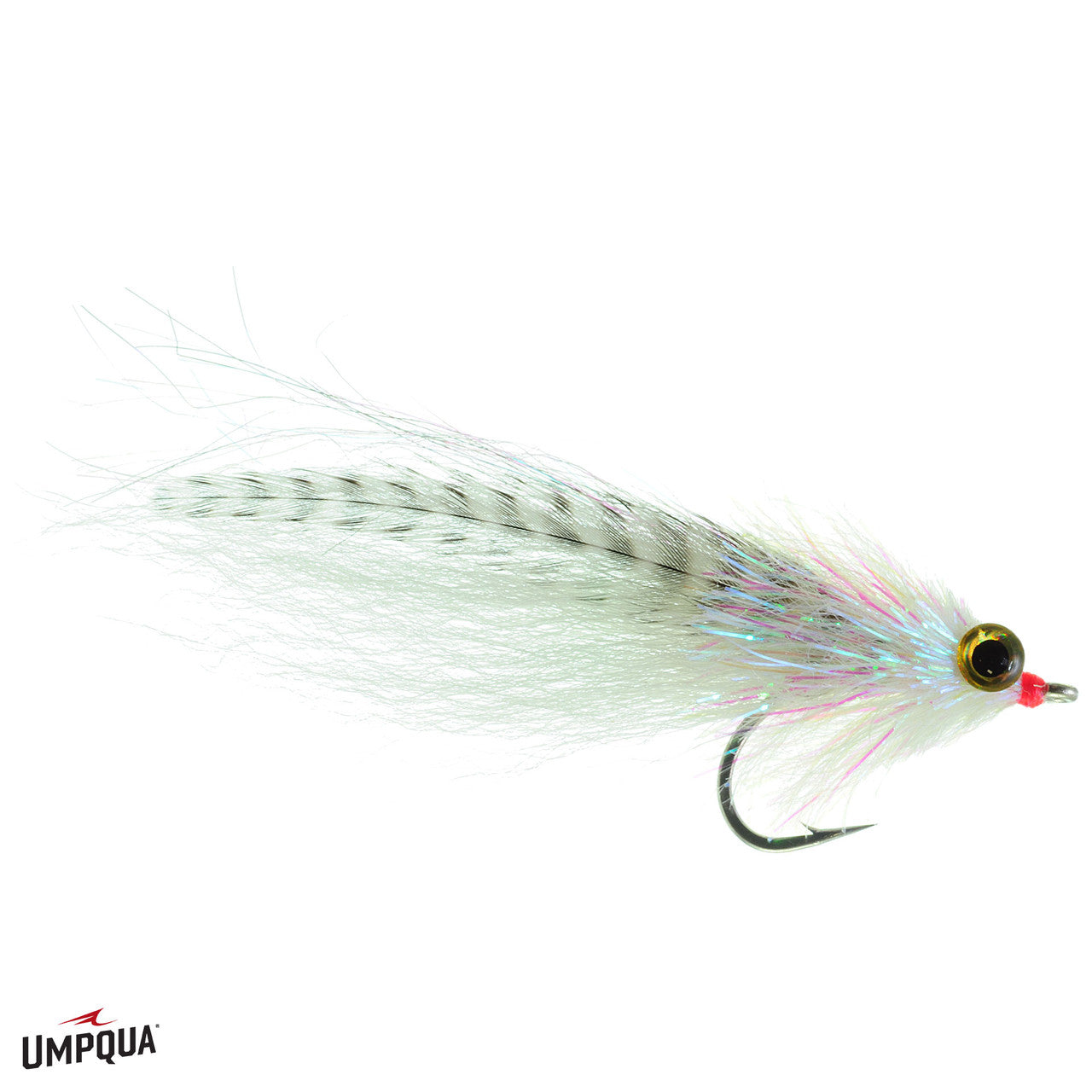 midnight-mullet__09495.jpg