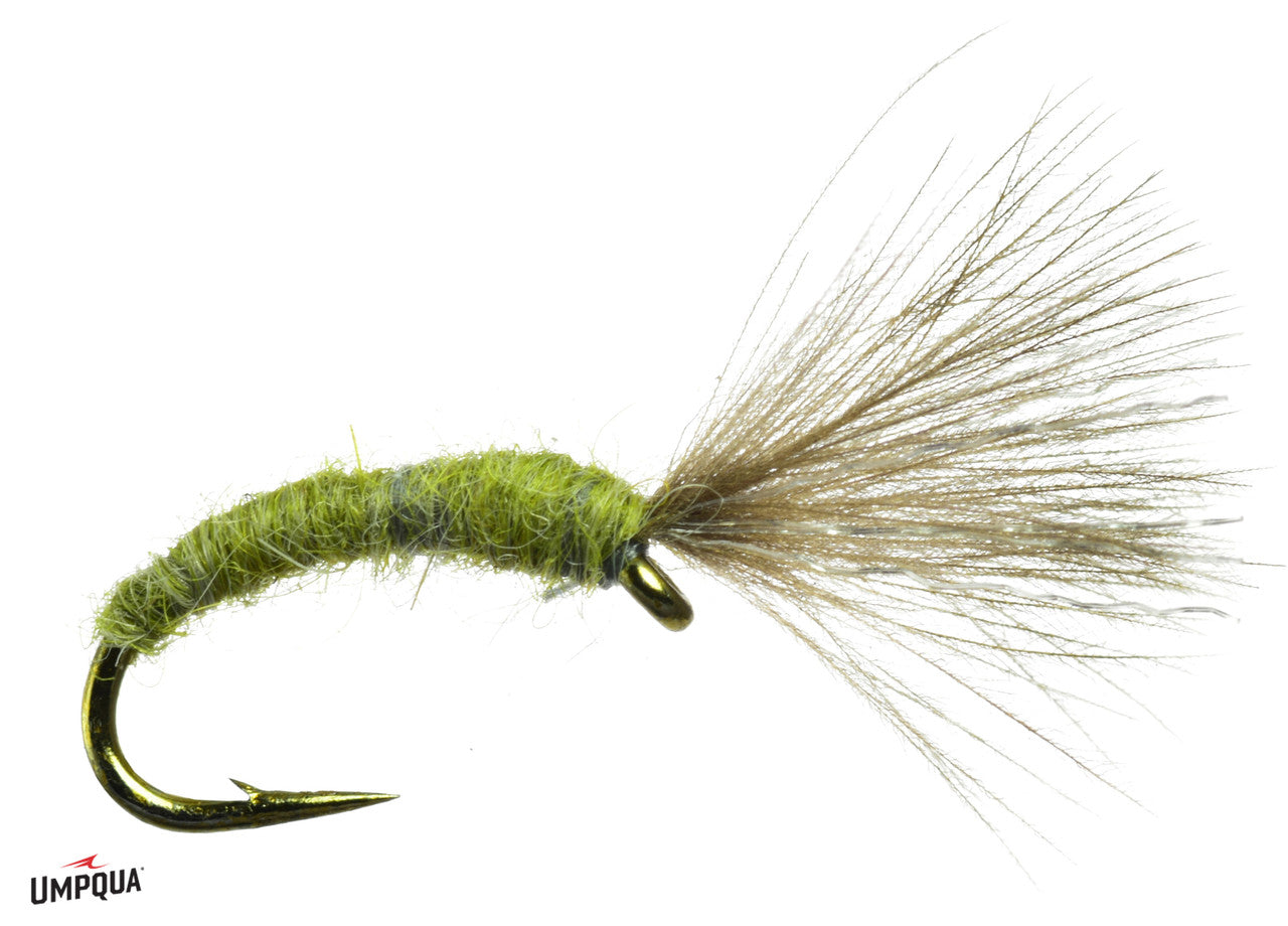 mole-fly-olive_brand__50229.jpg