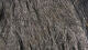 Hareline Para Post Wing