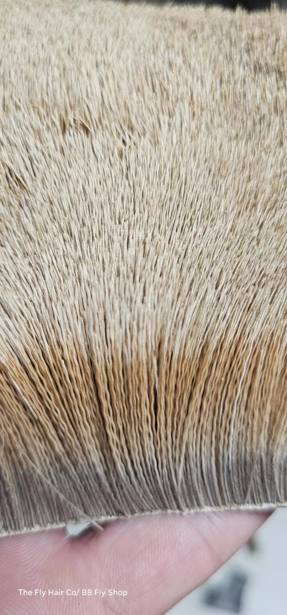 Fly Hair Co. Pronghorn