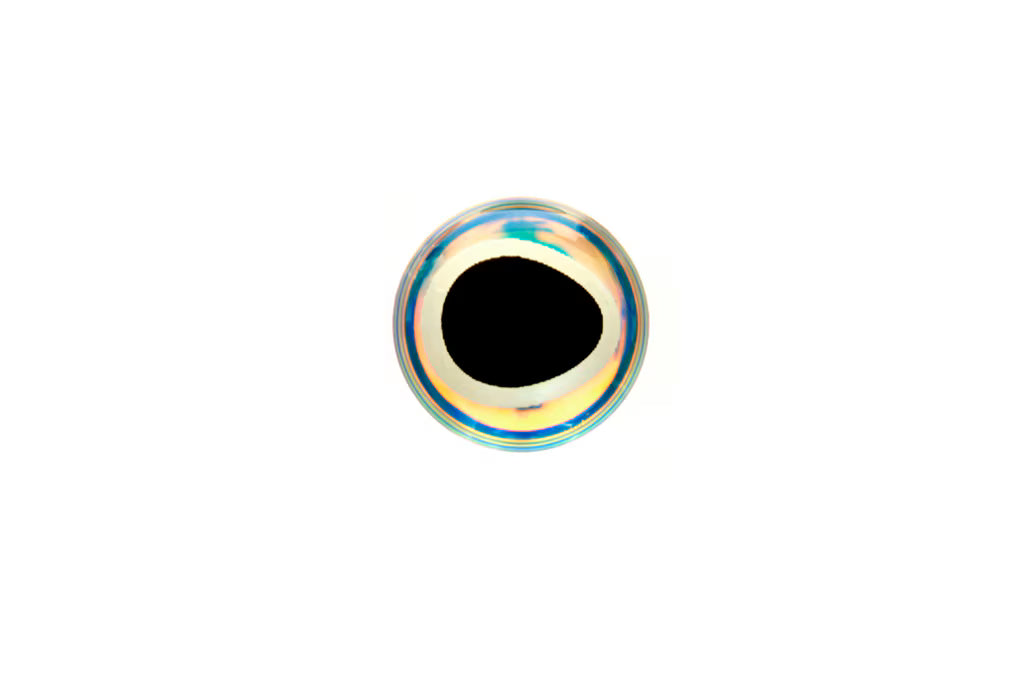Fulling Mill Epoxy Baitfish Eye