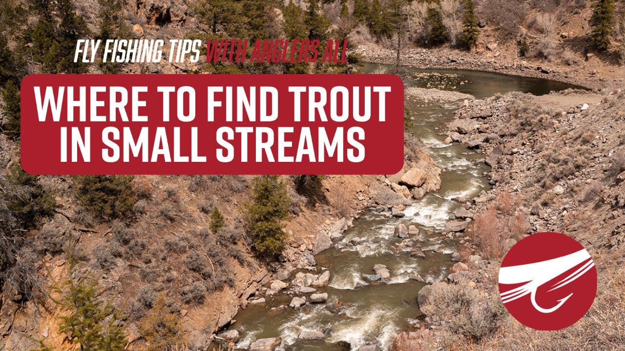 Where to Find Trout In Small Streams