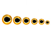 Fulling Mill Epoxy Baitfish Eye